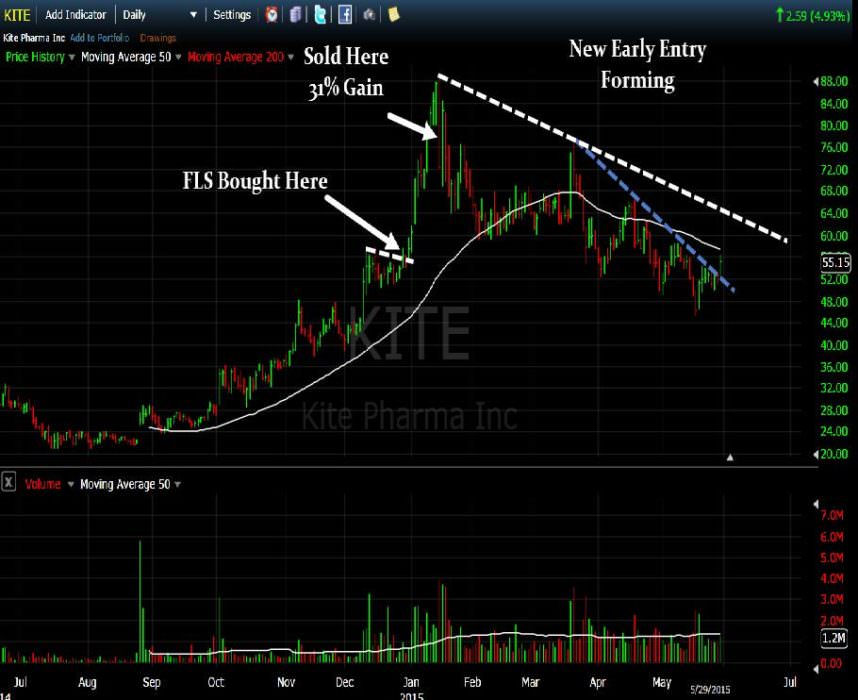kite