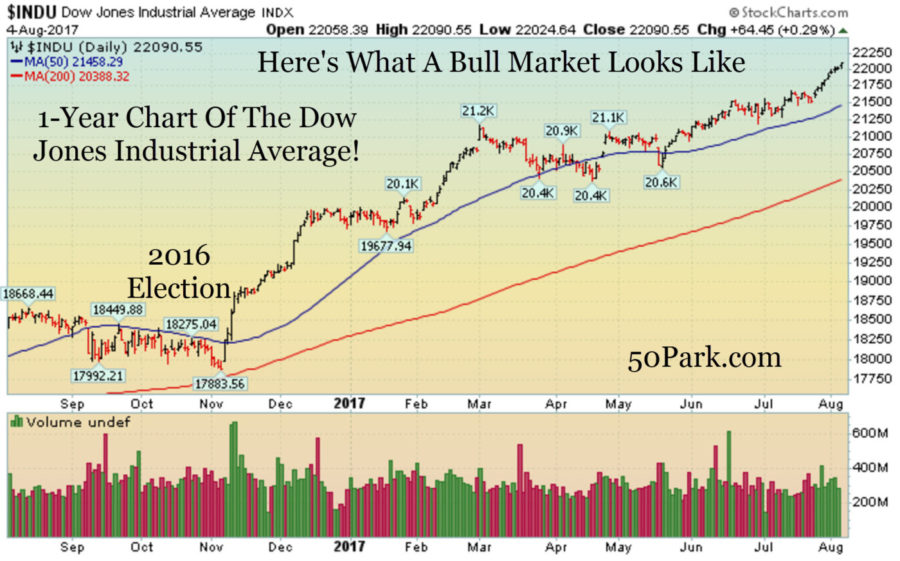 what a bull market looks like