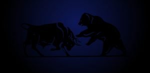 Bear Bull 2