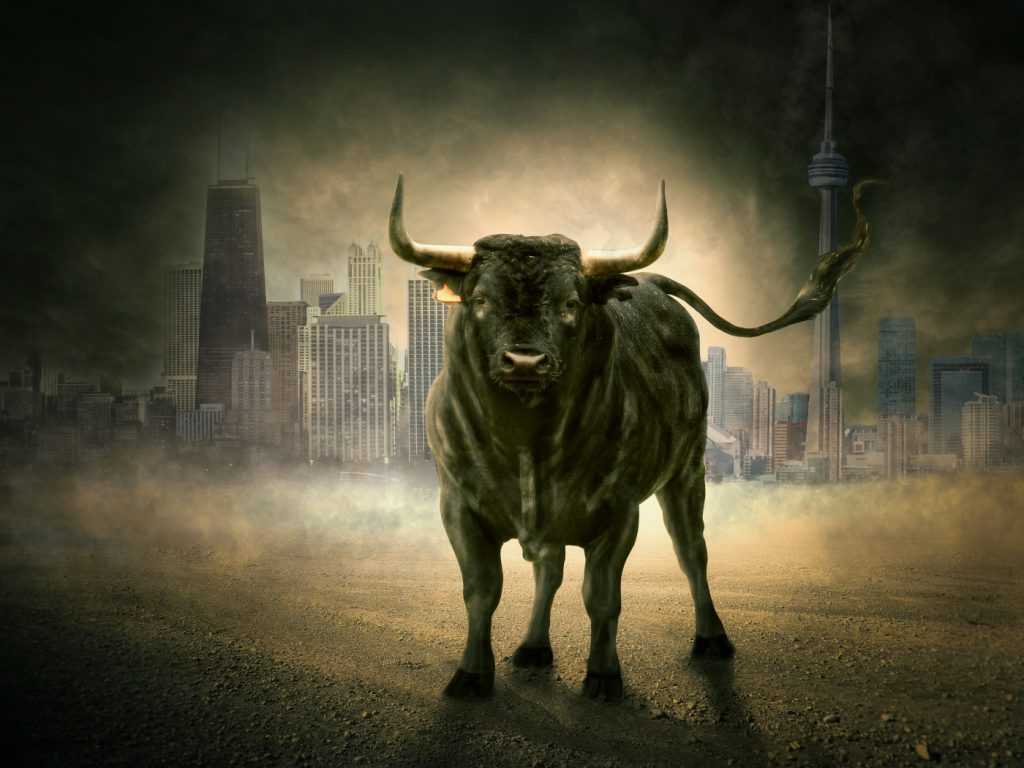 Grab Wall Street By the Bulls